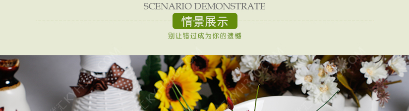 产品背面展示
